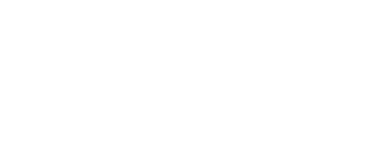 logo-agri-consult