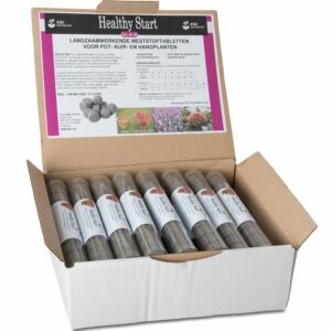 HEALTHY START TABLET HOBBY 10 gr. x 30 confezioni
