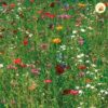 NATUREL 1 KG - immagine 2