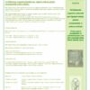 ORGANIC PLANT FEED 7 - 20L - immagine 3