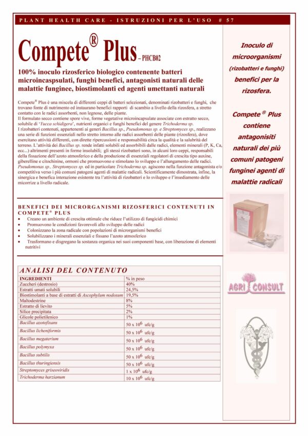 COMPETE PLUS - immagine 2