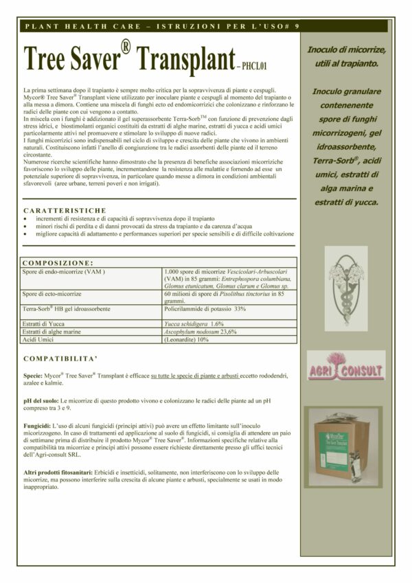 TREE SAVER - box 10 Kg - immagine 2