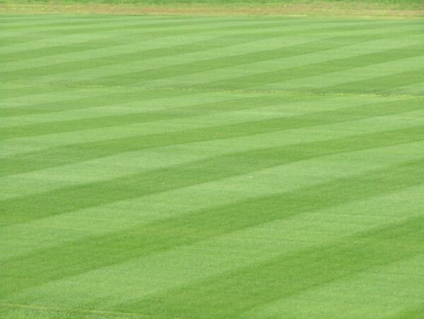 TURF SAVER - immagine 4