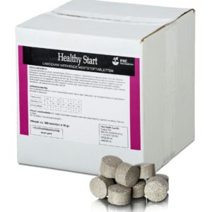 HEALTHY START TABLET 10 gr x 500 pastiglie