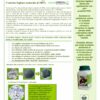 NATURAL GREEN - immagine 2