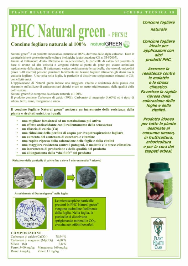 NATURAL GREEN - immagine 2