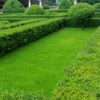 NATURAL GREEN - immagine 4