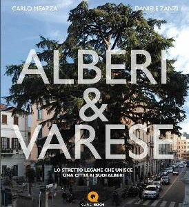 ALBERI & VARESE