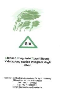 SIA- Valutazione statica integrata