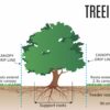TREEIB - capacitò 1.500 Lt. - immagine 3