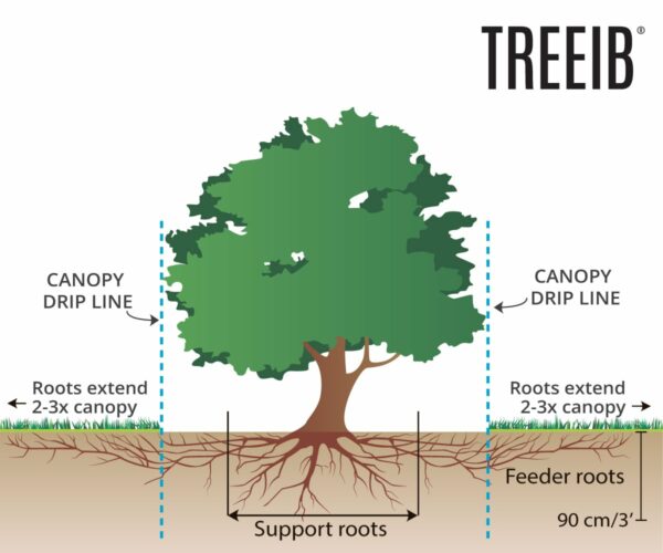 TREEIB - capacitò 1.500 Lt. - immagine 3
