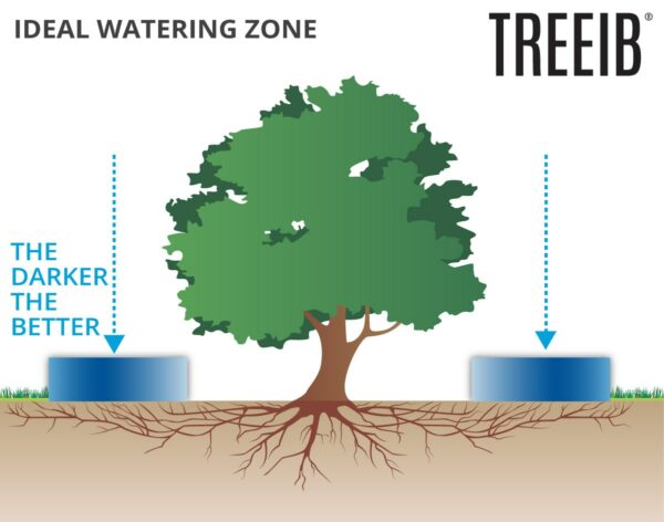TREEIB  Geniale Riserva Idrica - capacità 450 Lt. - immagine 4