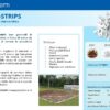 Lite strips  Bio 5 - 70 x 12 mm sacco da 10 lt - immagine 4