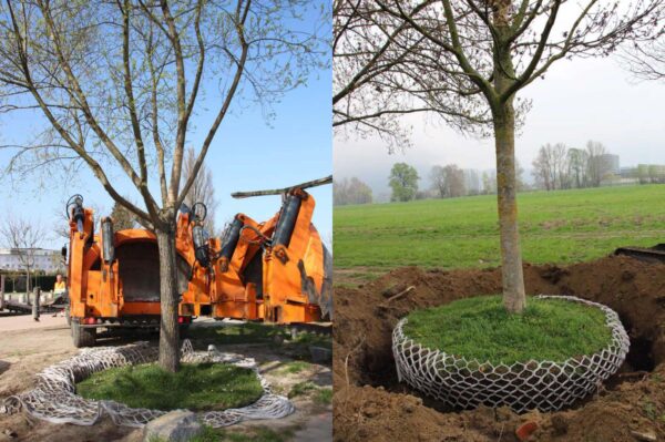 Lite net albero Bio dimens.L - immagine 4
