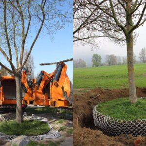 Lite net albero Bio dimens.L