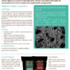 Concime BIOCHAR FERTILISER 20 KG - immagine 7