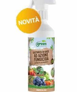 Estratto di equiseto RTU - 500 ml